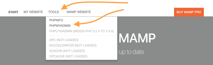 Click on phpmyadmin under MAMP Tools